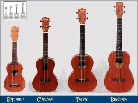 Ukulele Pictures, Ukulele Sizes, Banjo Ukulele, Ukulele Music, Mobile Music, Stuff For Sale, Ukelele, Music Therapy, Size Comparison