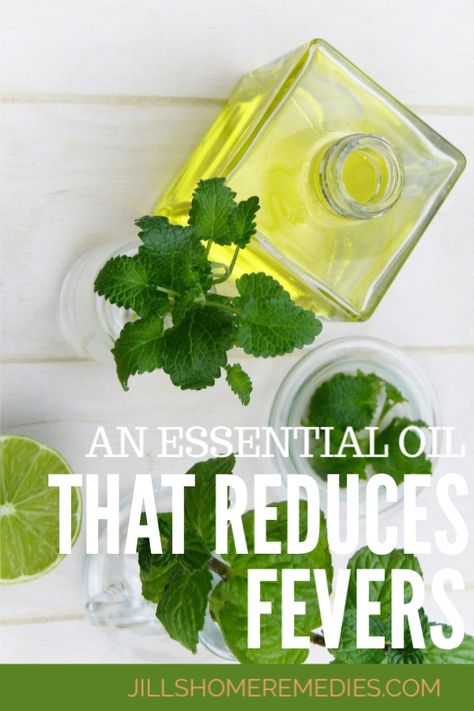 Do you know there are remedies that are far safer than over the counter fever reducers? Read how simple it is to use an essential oil that reduces fevers! Herbal Fever Reducer, Nature Girlie, Medicinal Recipes, Herb Medicine, Witch Recipes, Pineapple Health Benefits, Diy Nature, Dried Plums, Ginger Benefits