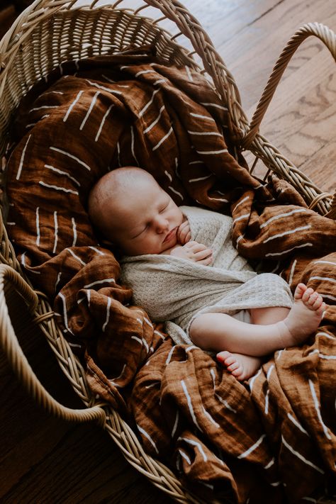 Lifestyle Newborn Photography Moses Basket, Fall Newborn Pictures, Fall Newborn Photos, Buffalo Photography, In Home Lifestyle Session, Fall Newborn, Fall Baby Pictures, Photoshoot Newborn, Newborn Photography Boy