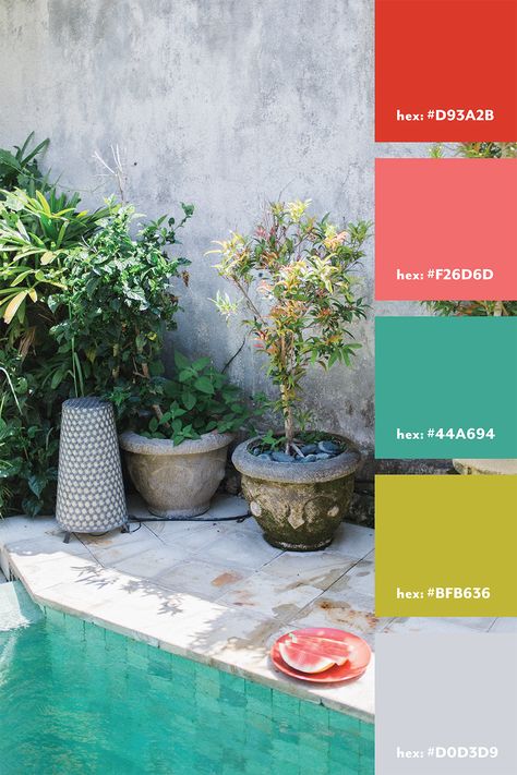 Coral and green color palette from an photograph Aqua Palette, Coral Colour Palette, Coral And Green, Green Color Palette, Paint Inspiration, Branding Resources, Green Colour Palette, Tropical Colors, Living Room Decor Cozy