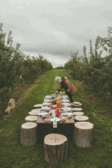 Inspo Deco Nature, Outdoor Dinner, Office Interior, Vineyard Wedding, Outdoor Party, Outdoor Entertaining, Interior Ideas, Decoration Design, Decoration Table