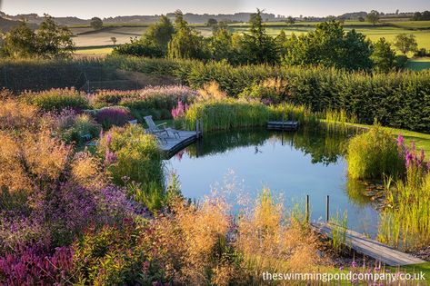 Gallery | The Swimming Pond Company Ltd. Swimming Pool Pond, Natural Swimming Ponds, Garden Pond Design, Contemporary Garden Design, Swimming Pond, Pond Landscaping, Natural Pond, Natural Swimming Pools, Natural Swimming Pool