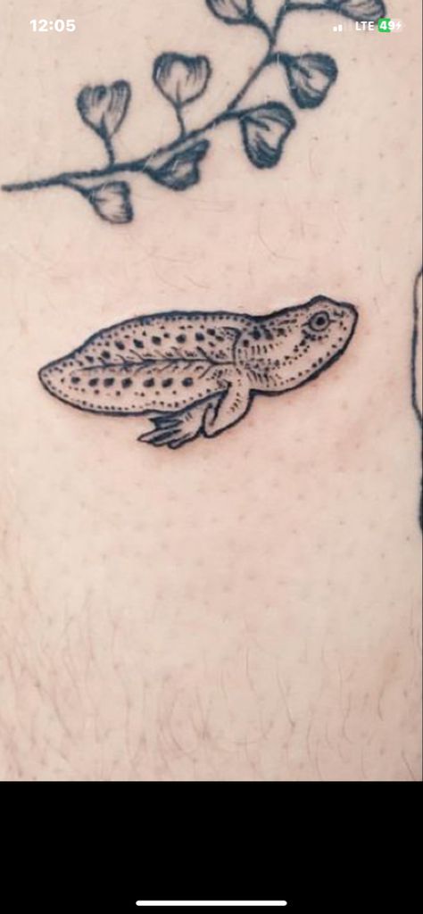 Tadpole Tattoo, Silly Little Tattoos, Granola Tattoo, Cliche Tattoo, Caterpillar Tattoo, Small Tattoo Ideas For Men, Cosmo School, Print Making Designs, Japanese Tattoo Words