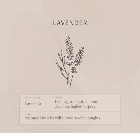 Flower Language Tattoo, May 4th Tattoo, What Does Lavender Represent, Flowers That Symbolize Healing, Plant Tattoo Meaning, Lavender Tattoo Meaning, Tattoos Symbolizing Growth And Change, Self Healing Tattoo Ideas, Healing Tattoo Ideas