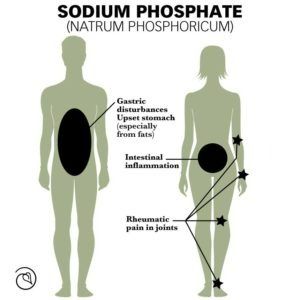 Cell Salt Trio of Nat mur, Nat phos, and Nat sulph for Digestive and Water Balance | Zettl Homeopathy Cell Salts Homeopathy, Nat Mur Homeopathy, Painful Gas, Body Flush, Homeopathy Medicine, Bile Duct, Mineral Salt, Salty Foods, Lactic Acid