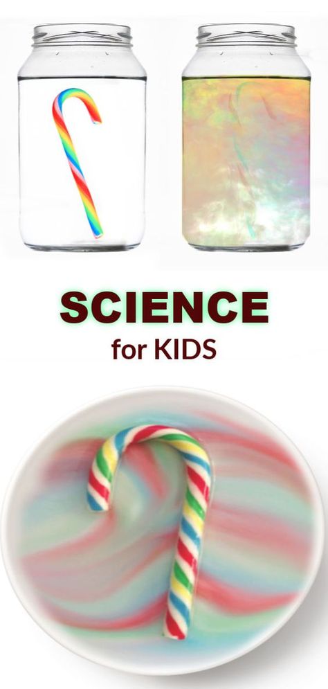 Candy Cane Experiment, Candy Cane Science, Science Christmas, Christmas Science Experiments, Experiment Science, Candy Cane Crafts, Christmas Science, Kid Experiments, Winter Preschool