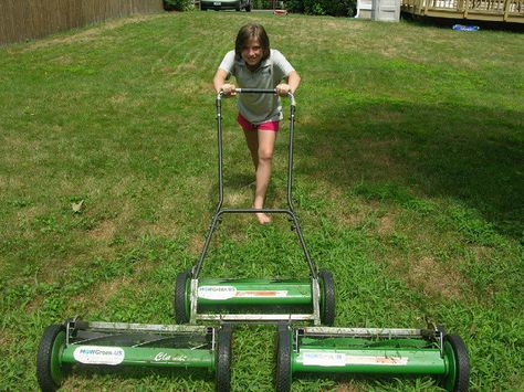 How to Mow Your Lawn with a Manual Push Reel Mower Reel Mower, Push Lawn Mower, Lawn Tools, Push Mower, Energy Conservation, Home Landscaping, Gas Prices, Lawn Mowers, Gardening For Beginners