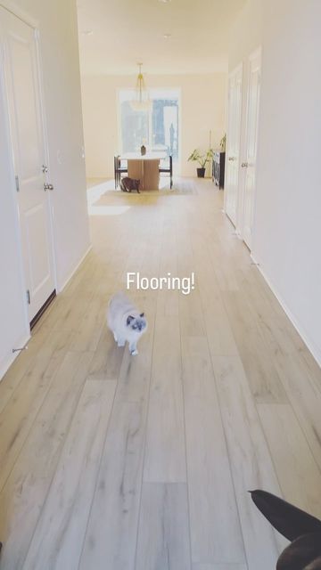 Coretec Noble Oak Flooring, Noble Oak Coretec, Coretec Noble Oak, Coretec Lvp, Basement Floor, Lvp Flooring, Builder Grade, Basement Flooring, House Flooring