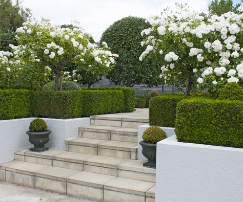 Sara Stewart, Garden Homes, Moderne Have, Formal Garden Design, Leather Couches, Homes To Love, Fireplace Set, Sloped Garden, Garden Entrance