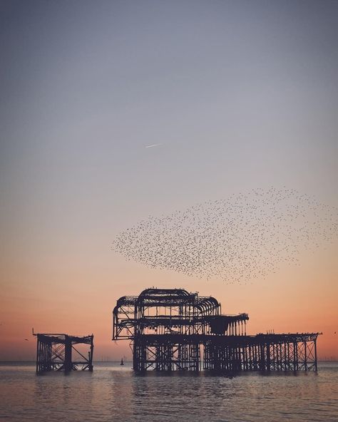 Brighton West Pier, Brighton Photography, Brighton Pier, James Bay, Listed Building, Aesthetic Photos, Look Here, Photography Inspo, Aesthetic Photo