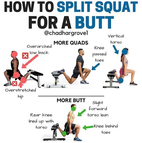 Different Squats Types And What They Do, Split Squat Form, Pigeon Split Squats, Split Squats For Glutes, Back Squat Form, Crunch Workout, Abdominal Crunch, Squat Form, Split Squats