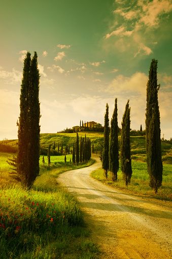 Tuscany Landscape - Free photo on Pixabay Tuscany Countryside, Tuscany Landscape, Tuscan Landscaping, Italy Landscape, Italian Landscape, Countryside Landscape, 수채화 그림, Landscape Illustration, Landscape Pictures