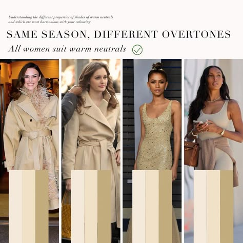 An overtone comparison post with 3 neutral leaning warm seasons. The Soft Autumn Palette, the Bright Spring Palette and finally, the Dark Autumn / Deep Autumn Palette. All 3 of these seasons do not sit on the warmest end of the spectrum in terms of their undertone. They lean slightly warm. Their differences are illustrated in how vibrant the colours are, as well as how light and dark. What is your favourite palette out of these 3 displayed and why? 🤍 . #coloranalysis #colouranalysis #colo... Bright Spring Palette, Deep Autumn Palette, Chloe Outfit, Gamine Outfits, Soft Autumn Deep, Autumn Deep, Soft Autumn Palette, Art Nouveau Fashion, Deep Autumn Color Palette