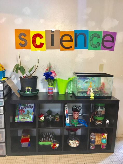 Discovery Preschool Classroom, Science Center Wall Decor Preschool, Daycare Science Center Ideas, Preschool Cubby Decorating Ideas, Monissory Classroom, Science Area Preschool Classroom Center Ideas, Korean Preschool Classroom, Home Living Area Preschool, Preschool Science Center Setup