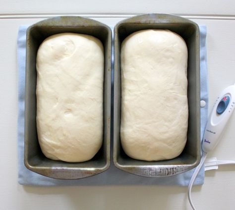 Kitchen Aid Recipes, Mixer Recipes, Make Bread, No Rise Bread, Best Bread Recipe, Think Food, Heating Pad, Electric Heating, Bread Dough