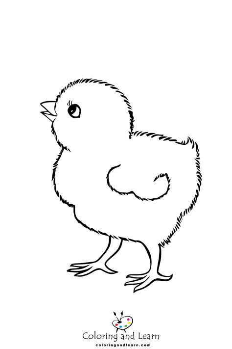 Best printable Chick Coloring Pages - Chick coloring pages offer delightful and educational entertainment for kids. These printable pages feature adorable baby chicks in various poses and ... - drawing How To Draw Chicken, Baby Chick Drawing, Chicks Drawing, Boat Captions, Chick Drawing, Chicken Coloring Pages, Umbrella Drawing, Barnyard Theme, Chicken Coloring