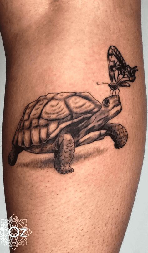 Tortious Tattoo, Sulcata Tattoo, Butterfly Turtle Tattoo, Turtle With Butterfly Tattoo, Butterfly And Turtle Tattoo, Sulcata Tortoise Tattoo, Desert Tortoise Tattoo, Turtle Butterfly Tattoo, Red Eared Slider Turtle Tattoo