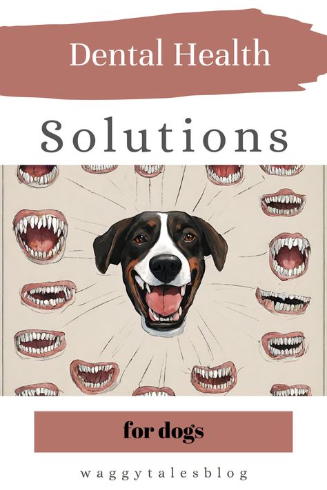 Find out everything about canine dental health.  Learn how to prevent tooth decay and plaque. How to keep teeth clean and breath fresh. #DogDentalCare Canine Teeth, Pet Dental Care, Dog Dental Health, Canine Tooth, Dog Breath, Dog Toothbrush, Dog Teeth Cleaning, Dog Dental Care, Dog Dental