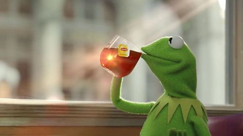 Sipping Tea Meme, Tea Meme, Kermit Meme, Scott Wilson, Frog Wallpaper, Funny Phone Wallpaper, Kermit The Frog, Funny Wallpaper, Cute Frogs