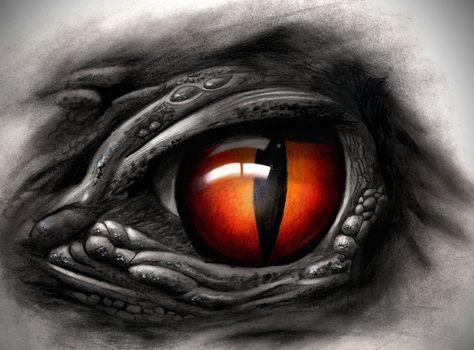 Dragon Eye Tattoo Design, Dragon Eyes Tattoo, Eye Drawing Tattoo, Eyes Tattoo Design, Ojo Tattoo, Dragon Eye Drawing, Eye Tattoo Design, Reptile Eye, Eyeball Tattoo