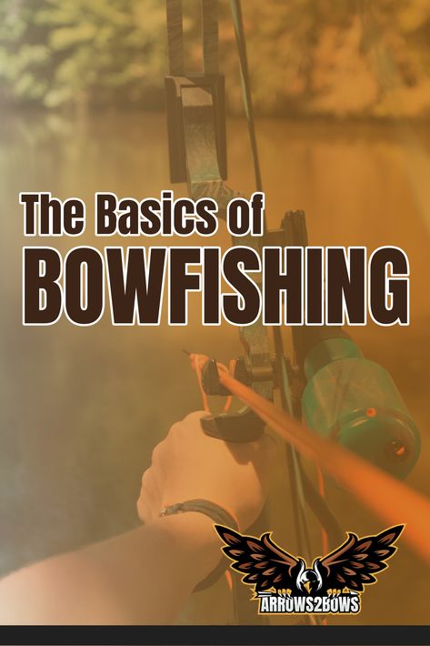 Fishing Basics For Beginners, Beginner Fishing, Types Of Bows Archery, Hoyt Bows, Archery For Beginners, Bow Hunting Tips, Bow Fishing, Fall Bass Fishing Tips, Fishing 101