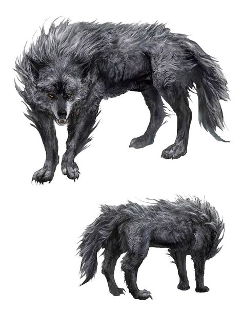 Wolf Ring Art, Wolf Monster Concept Art, Wolf Concept Art, Wolf Concept, Elden Ring Art, Elden Rings, Fantasy Western, Wolf Monster, Rpg World