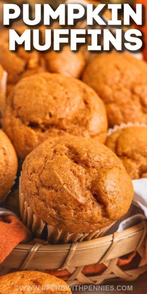 This pumpkin muffins recipe has all the great flavors of fall. In this recipe, all the simple ingredients for muffins are added, but with a little extra twist. Some canned pumpkin puree, pumpkin spice, and some sour cream are sure to bring these muffins to the next level of delish. Add some chocolate chips or top them with a cream cheese frosting for the final touch. #pumpkinmuffins #pumpkinmuffinrecipe #muffinswithpumpkin #spendwithpennies Mspi Meals, Muffins Sour Cream, Easy Pumpkin Muffin, Easy Pumpkin Muffins, Best Pumpkin Muffins, Sour Cream Muffins, Vegan Pumpkin Muffins, Baking Fails, Pumpkin Muffins Easy