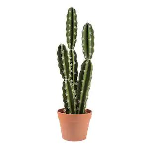 Artificial 26 in. Mexican Cactus Plants in Terracotta Pot Bunny Ear Cactus, Mexican Cactus, Artificial Cactus, Artificial Foliage, Artificial Flowers And Plants, Terracotta Pot, Artificial Succulents, Inviting Home, Decorative Pots