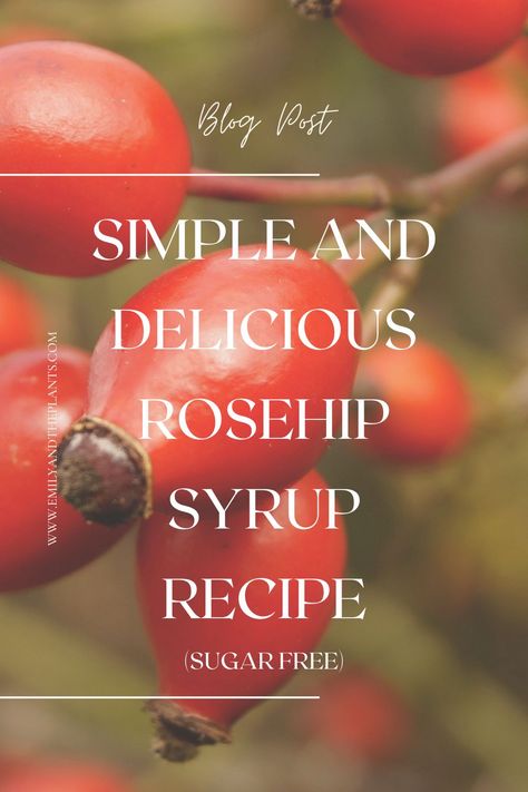 Rosehip syrup is a wonderful way to use the immune boosting properties of rose hips at the same time as making a delicious, sweet topping for your yoghurts, porridge, pancakes, even drizzled on your cakes or toast (instead of jam). Who says medicine has to taste bad! This is a simple, no fuss, refined sugar free recipe Rosehip Benefits, Porridge Pancakes, Rose Hips Benefits, Rosehip Syrup, Sugar Free Recipe, Refined Sugar Free Recipes, Rose Hips, Health Wellbeing, Syrup Recipe