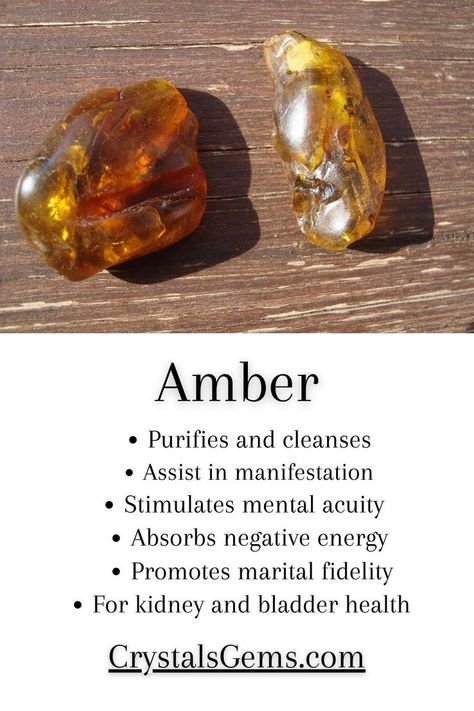 amber stone, amber properties, amber meaning, amber stone properties, amber stone meaning, amber healing properties Amber Crystal Meaning, Amber Stone Meaning, Energy Stones Crystal Healing, Ancient Creatures, Tree Sap, Amber Crystal, Ancient Tree, Energy Stones, Amber Stone