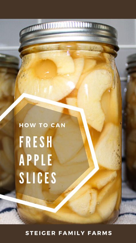 How To Save Fresh Apples, How To Can Apple Slices, How Do You Freeze Fresh Apples, Canning Apples Slices, How To Can Apples Canning Recipes, Canning Sliced Apples, How To Can Cinnamon Apples, Canned Apple Slices Recipes, Canning Spiced Apple Slices