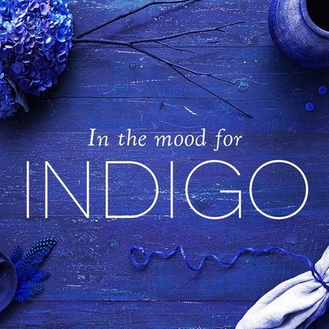 In the mood for indigo Indigo Colour Palette, Coffee Niche, Indigo Aesthetic, Indigo Palette, Royal Blue Design, Indigo Walls, Blue Quote, Indigo Flower, Lady Sings The Blues