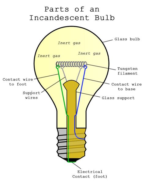 8th Grade Science Projects, Instagram Profile Template, Glow Lamp, Exploded View, Wired Glass, Wellness Community, Incandescent Light Bulb, Incandescent Light, Diagram Design