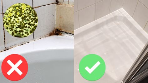 How to Remove Black Mold From Shower Silicone | DIY Joy Projects and Crafts Ideas Cleaning Shower Mold, Clean Black Mold, Shower Mold, Remove Black Mold, Diy Joy, Black Mold, Cleaning Mold, Wet Dry Vacuum, Mold Remover