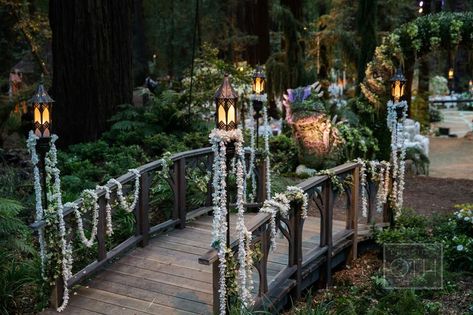 Sean Parker Wedding, Wedding Bridge, Forest Theme Wedding, Deco Champetre, Wedding Apps, Enchanted Forest Wedding, Wedding Expenses, Forest Theme, Fantasy Wedding