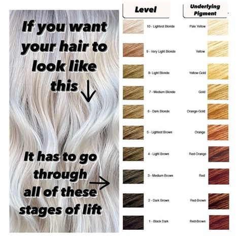 Hair texture chart