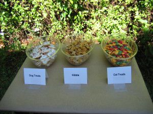 My sister threw an animal hospital birthday for my niece, and I adapted her idea a little when my daughter was turning three.  We lived in New Orleans at the time, and you can book a petting zoo th… Pet Adoption Party, Turning Three, Animal Snacks, Nature Party, Adoption Party, Puppy Day, Petting Zoo, Pet Vet, Chex Mix