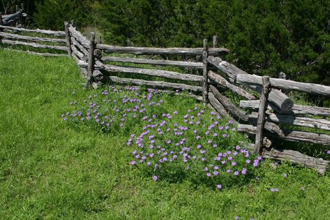 Get these 26 Garden Fence Ideas That Won’t Break the Bank - Matchness.com Split Rail Fence Ideas, Rail Fence Ideas, Farm Makeover, Colonial Landscaping, Barn Landscaping, Wildflower Gardens, Log Fence, Pasture Fencing, Wooden Fences