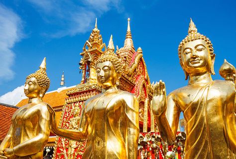 Perhaps the best-known wat in Chiang Mai sits atop Doi Suthep, a mountain overlooking Thailand's northern rose of a city Places To Visit In Thailand, Doi Suthep, Thailand Tourist, Thailand Tourism, Good Foods, Koh Chang, Ao Nang, Marine Conservation, Air Tickets