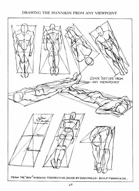 Figure Drawing Tutorial, Andrew Loomis, Male Figure Drawing, Perspective Drawing Lessons, Human Figure Drawing, Anatomy Sketches, Perspective Art, Perspective Drawing, Anatomy Drawing