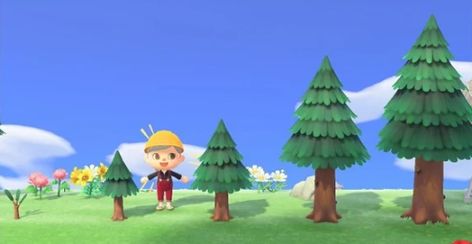 Tree Growth, Small Trees, Fruit Trees, Staging, Small Pets, Animal Crossing, Nursery, Trees, Disney Princess