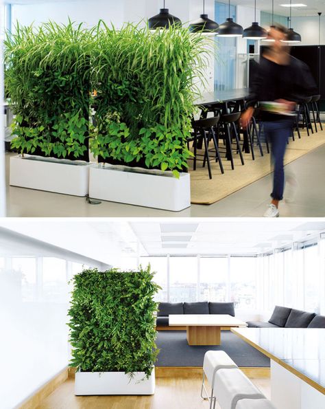 15 Creative Ideas For Room Dividers // These plant walls are a great way to divide spaces because they offer sound absorption and purify the air. Office With Plants, Small Bedroom Layout, Sliding Room Dividers, Wooden Room Dividers, Divider Design, Space Dividers, Wooden Room, Vertical Gardens, Room With Plants