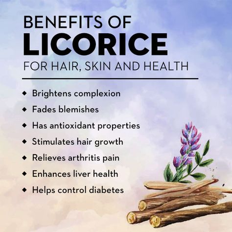 licorice benefits Egyptian Licorice Tea Benefits, Benefits Of Licorice Root Tea, Liquorice Root Benefits, Benefits Of Licorice Root, Licorice Root Tea Benefits, Dgl Licorice Benefits, Licorice Root Benefits Skin, Licorice Tea Benefits, Monolaurin Benefits