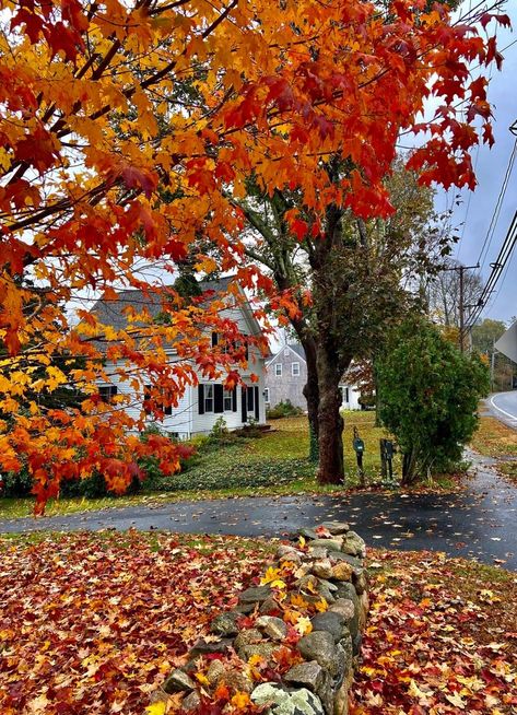 Magical Autumn, Autumn Scenes, Fall Feels, Fall Halloween Decor, Autumn Vibes, Best Seasons, Autumn Landscape, Fall Aesthetic, Autumn Cozy