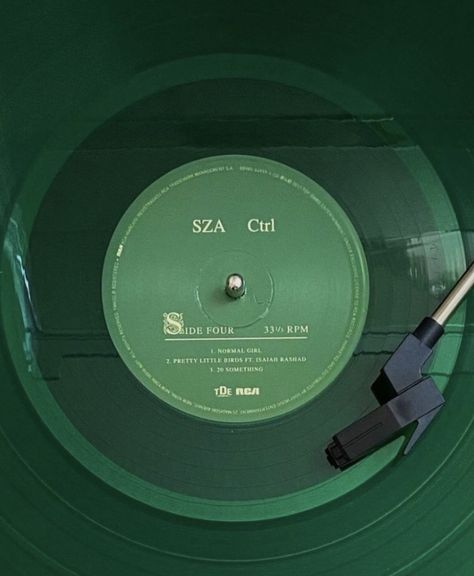 sza ctrl vinyl Green Album Covers Aesthetic, Green Aethestic, Sage Posters, Round Pfp Aesthetic, Sap Green, Vinyl Aesthetic, Mint Green Aesthetic, Dark Green Aesthetic, Soyut Sanat Tabloları