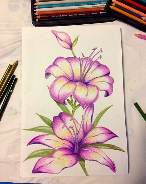 To finish.. (pencil and prisma colored pencils on paper...) by Danielle Colucci 2017 Flowers Drawing With Pencil Colors, Flower Painting Color Pencil, Color Pencil Sketch Flowers, Color Pencil Flower Art, Color Pencil Sketch For Beginners, Flowers Color Pencil Drawing, Flower Sketches Colored Pencil, Sketch Ideas Colored Pencil, Colored Pencil Art Flowers