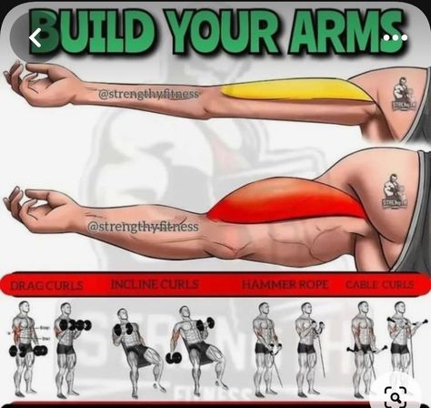 Gym Workout Guide, Workout Program Gym, Bodybuilding Workouts Routines, Trening Sztuk Walki, Best Gym Workout, Gym Workout Planner, Gym Antrenmanları, Bodybuilding Workout Plan, Gym Workout Chart