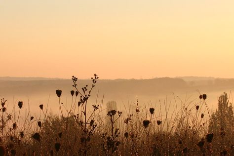 morning Vintage Desktop Wallpapers, Google Backgrounds, The Garden Of Words, Cute Laptop, Laptop Wallpaper Desktop Wallpapers, Cute Laptop Wallpaper, Desktop Wallpaper Art, Morning Mist, Early Mornings