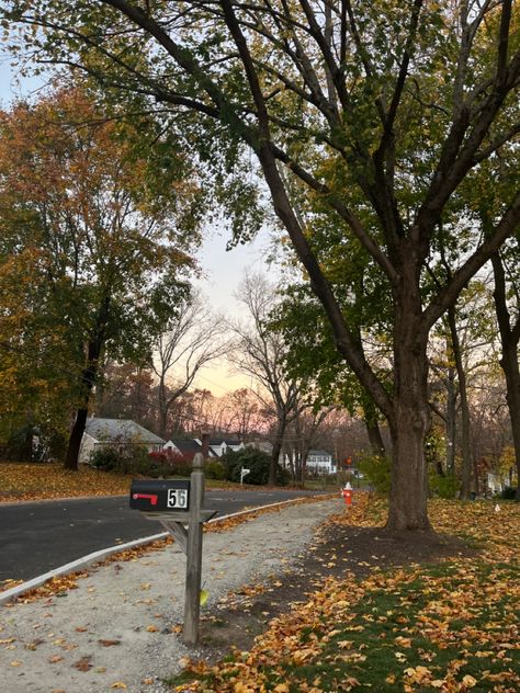 Neighborhood Aesthetic, American Neighborhood, Autumn Grunge, American Halloween, Usa Aesthetic, Oregon Summer, Small Town Life, American Houses, Location Inspiration