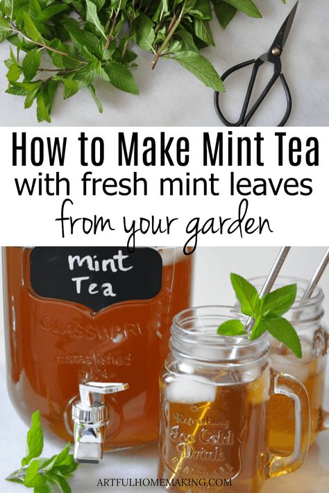 How to Make Mint Tea with Fresh Mint Leaves from your garden. This fresh mint tea is so easy to make, and only has a few ingredients! Healthy Summer Drink Recipes, Mint Recipes Fresh, Mint Tea Recipe, Healthy Summer Drinks, Fresh Mint Tea, Julep Recipe, Spearmint Tea, Teas Recipes, Homemade Tea